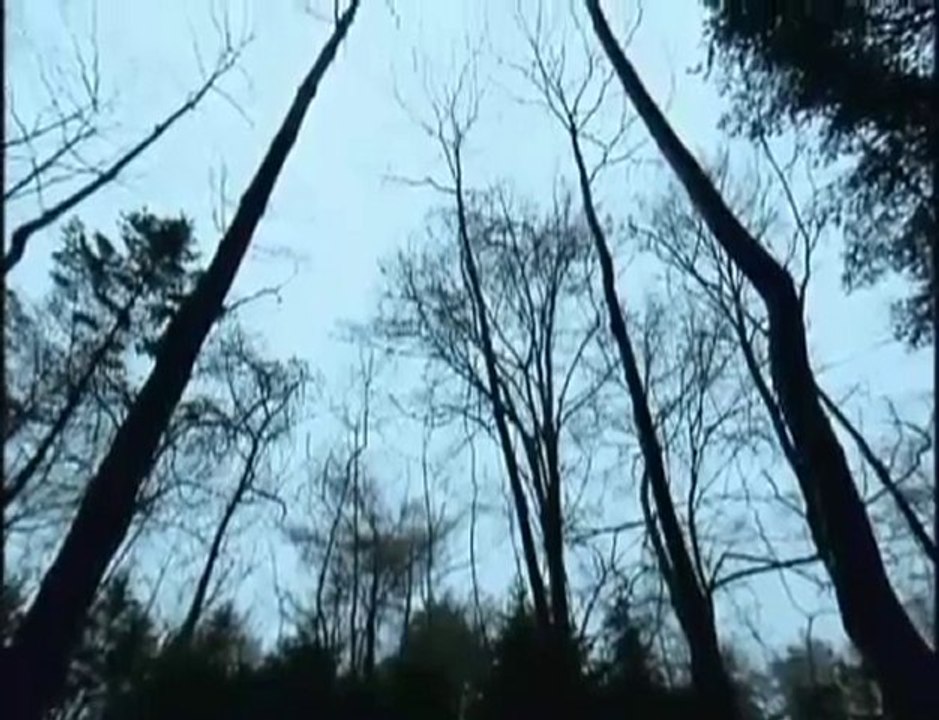 Alice Nine-Yuri wa Aoku Saite[PV]