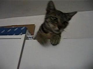 Leila veut des calins...