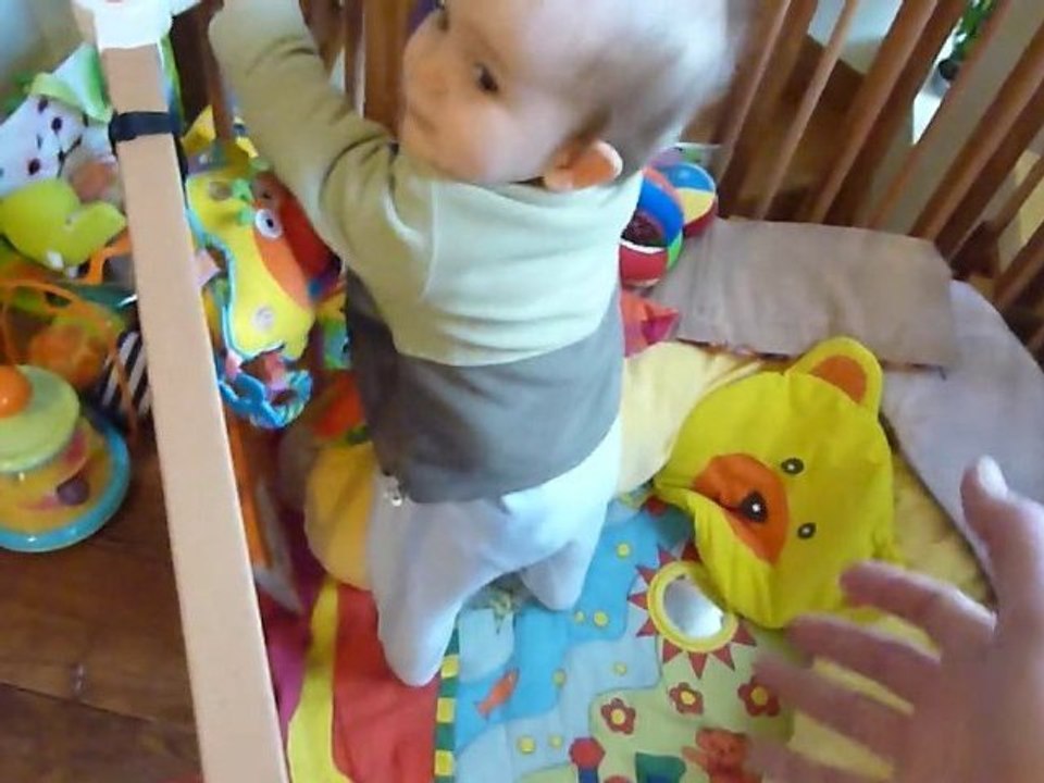 29 décembre 10 les début de la marche dans le parc