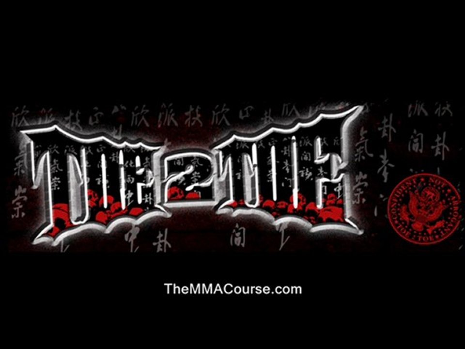 learn mixed martial arts at home