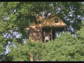 Tree House - Building Story