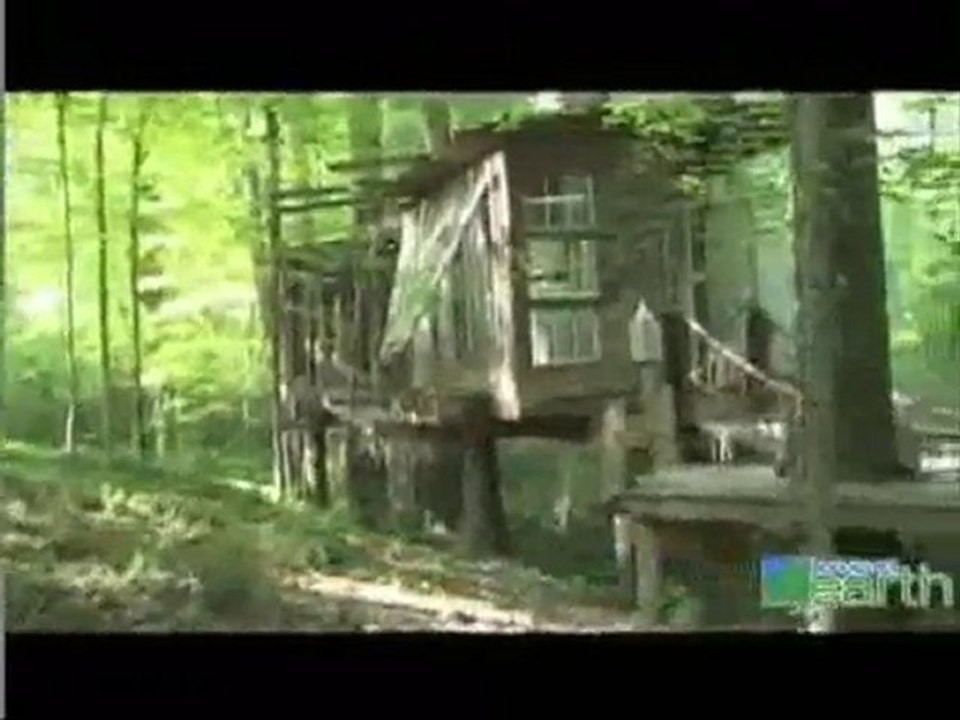 TreeHouse - Best way of Living