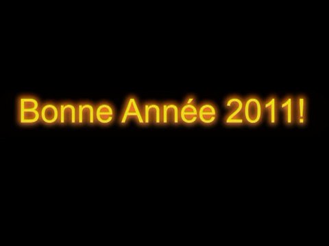 Billan 2010/projets2011/dedicasse/bonne année2011!