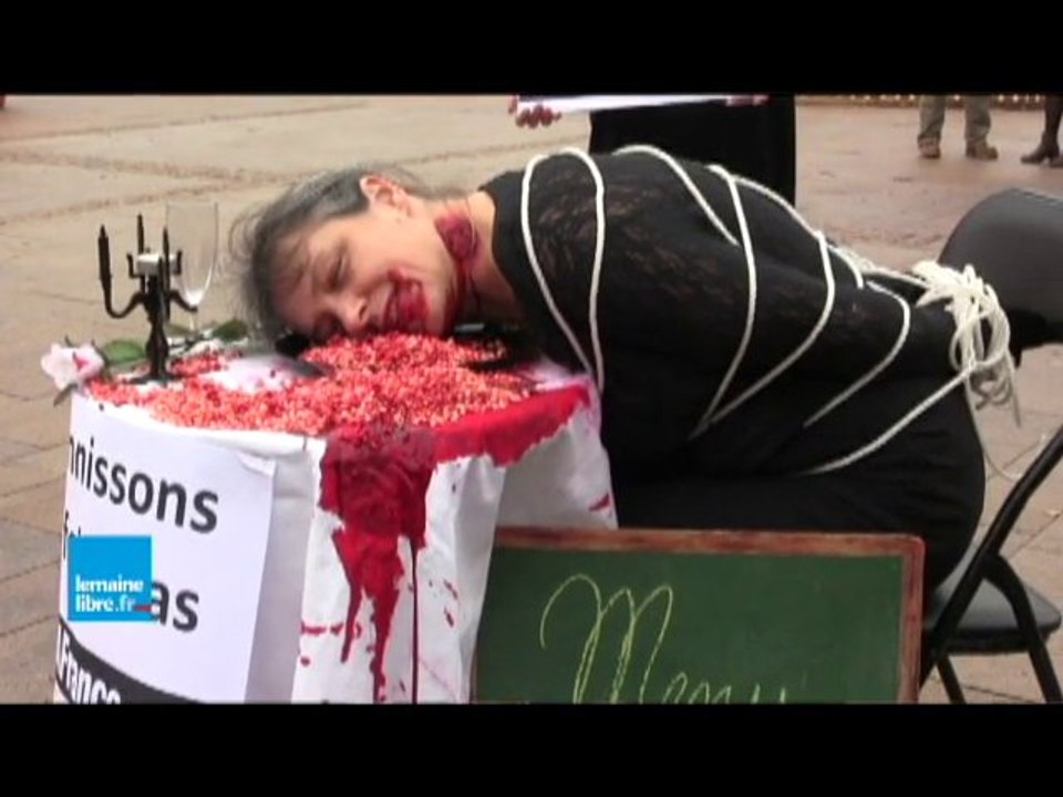 Une action contre le foie gras place de République au Mans