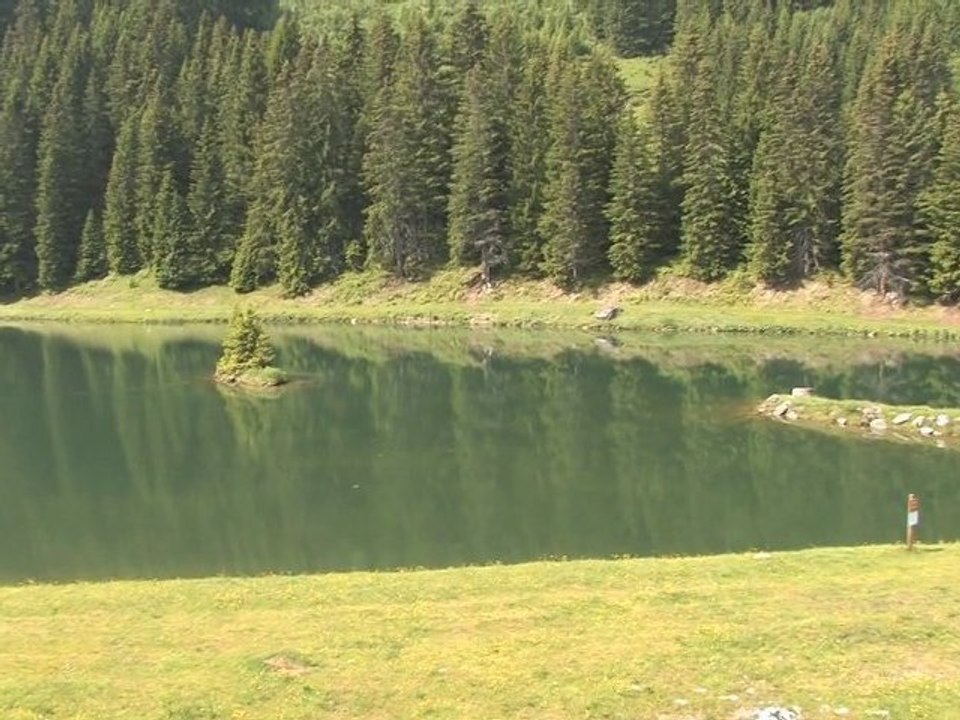 Super Chatel