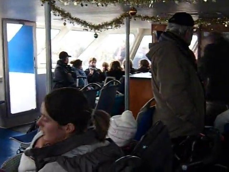 vedette de Noël
