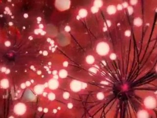 Cortinilla LaSiete / Navidad 2010 (2)