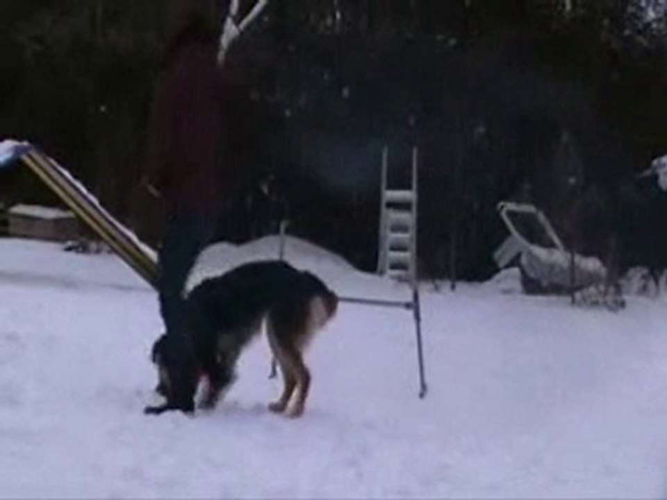 agility : Out