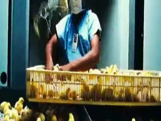 99 francs extrait_0001