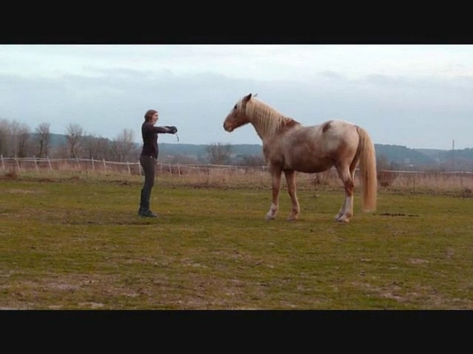 2010.12.27 wak'  jeux + saut