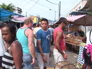 Environment police take on Brazil's animal traffickers