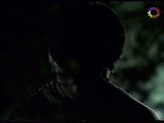 Años Maravillosos Cap. 22 - De quién son estos árboles (3/3)