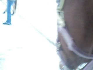 balade peps 29 décembre 002