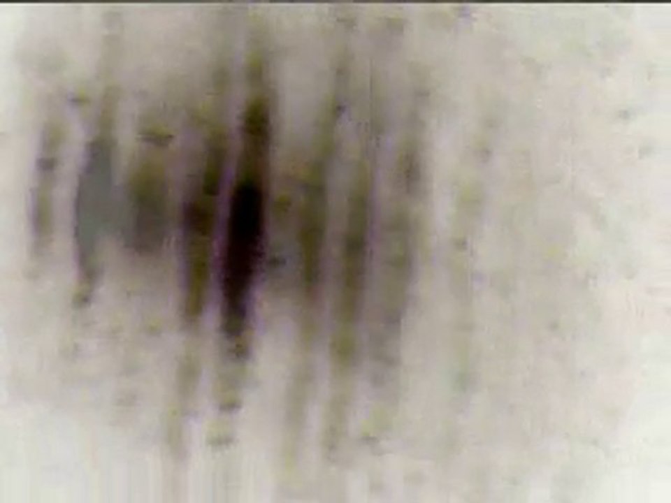 King Looping - Is This Dub