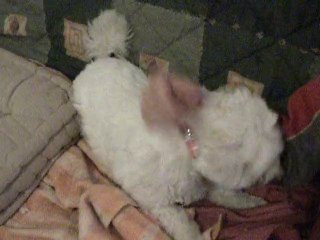 DSCN5430 SUZON OU LA JOIE DE VIVRE !!!!!!!!!