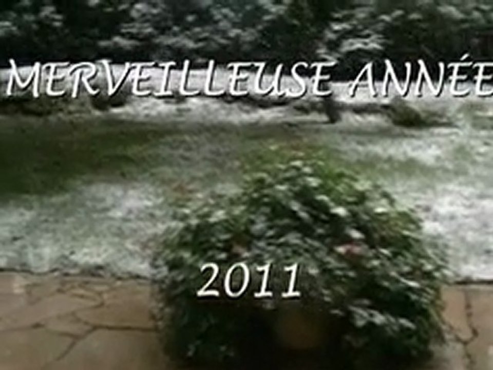 Vidéo VOEUX 2011