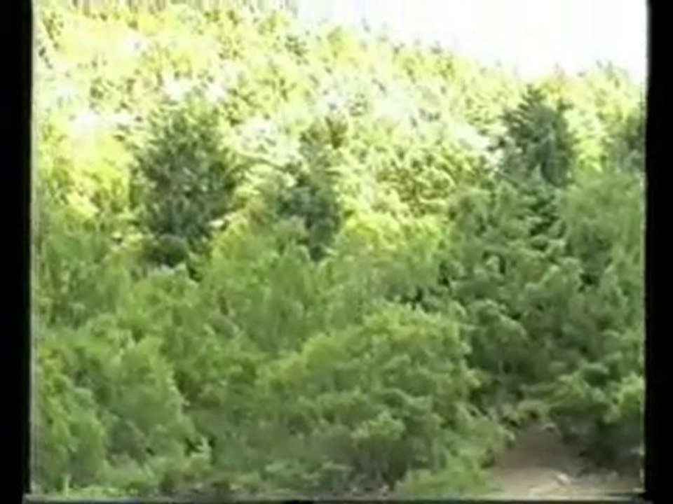 dere sorkun yaylalar