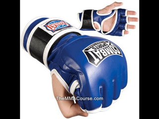 best mma instructional dvd