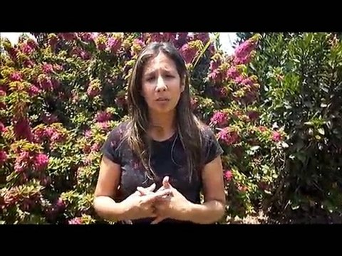 flores+en+peru-flores+peru- FloresEnPeru.com-6