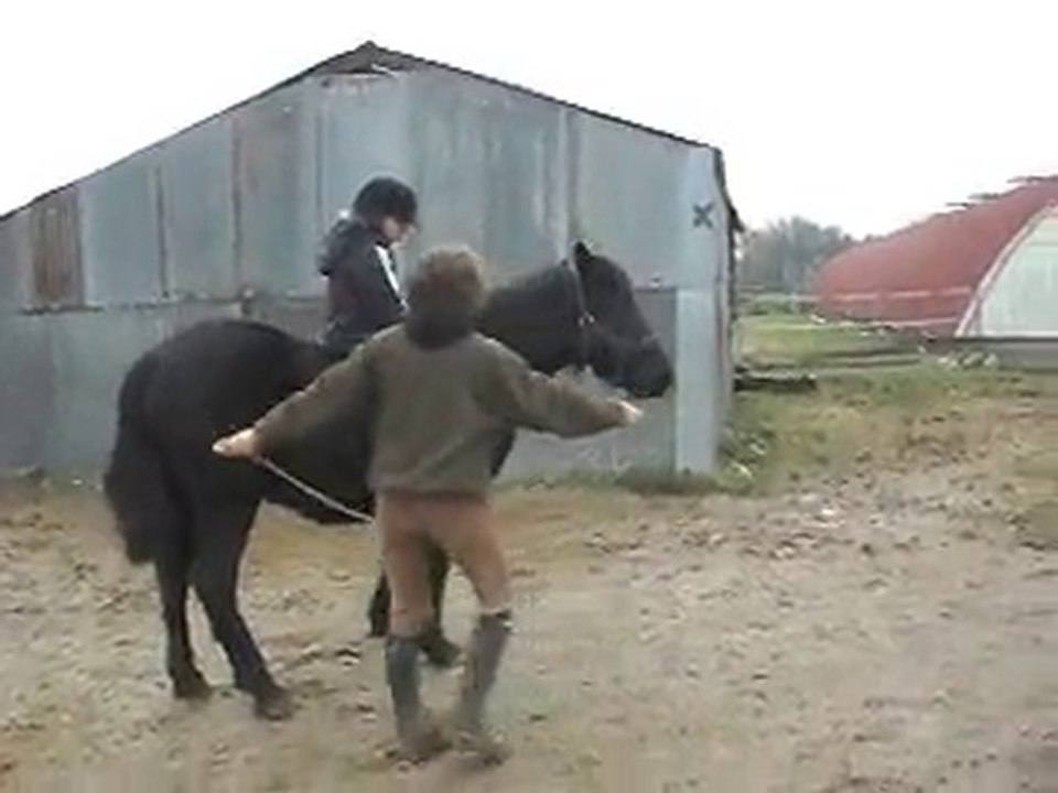 POULAIN MERENS 21 MOIS. 3 pas arrêt carresse 2). 29/12/2010