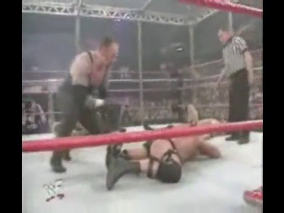 Hell in the cell 3 finishers! XD