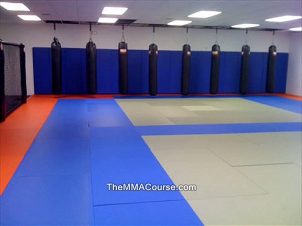mma self defense tutorial online