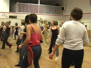 Baignade de otaries 2010 répition flashmob fouesnant