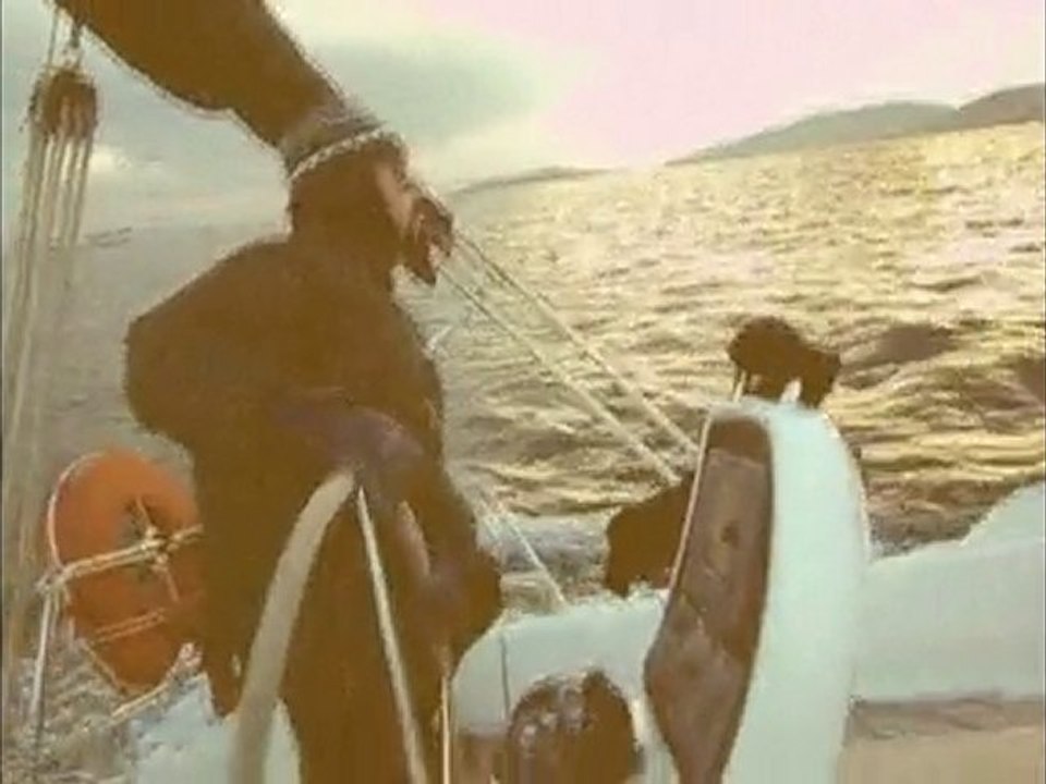 Marmara'da Penguen Bir Kış Günü