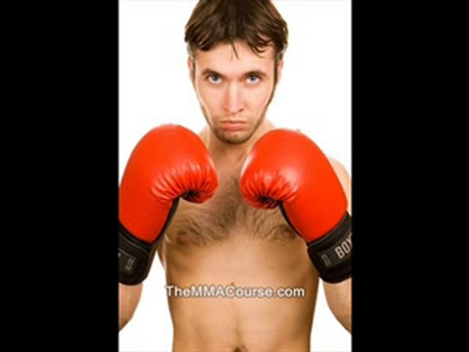 learn mixed martial arts online