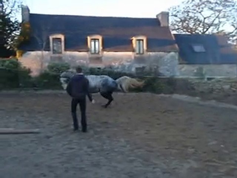 Ecuries du  Nevez Radja