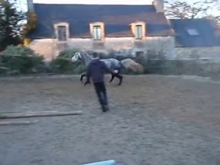 Ecuries du Nevez Radja 1