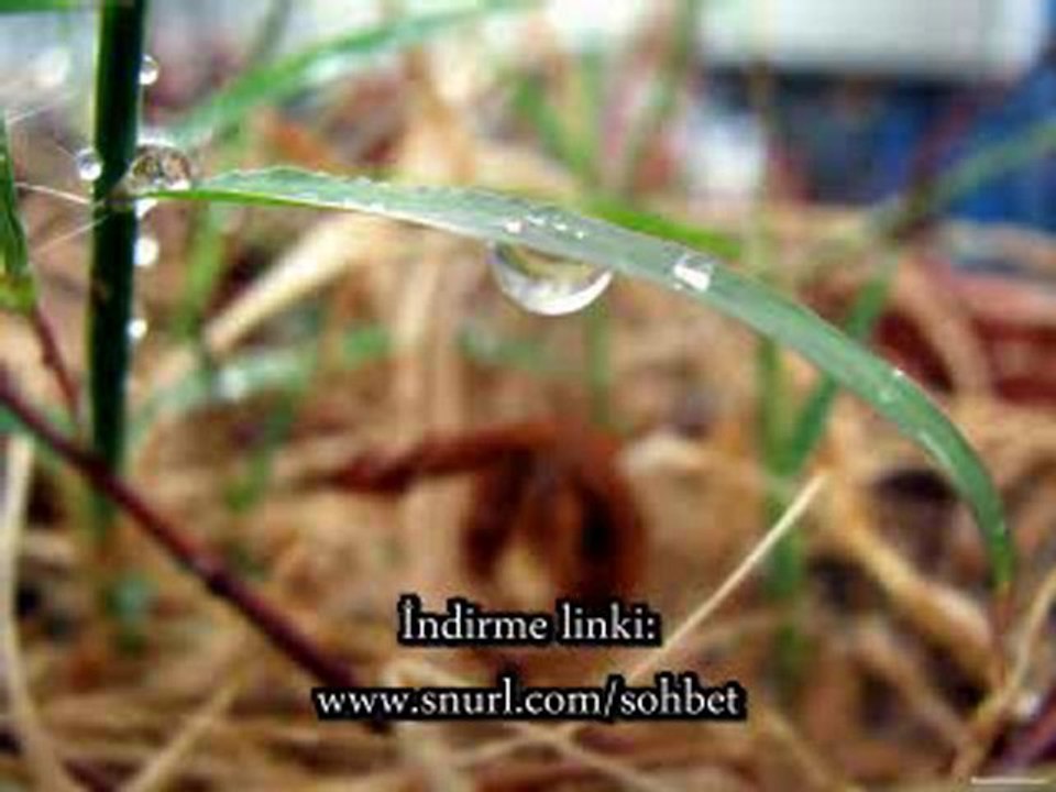 İslamda el kesme cezası var mıdır? Şeriat Nedir? Öğrenin
