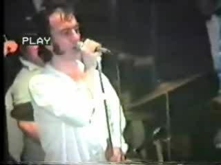 Crazy Cavan - Wildest cat in town