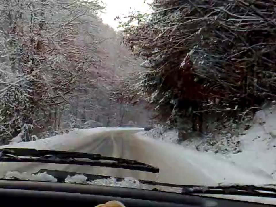 20101229007