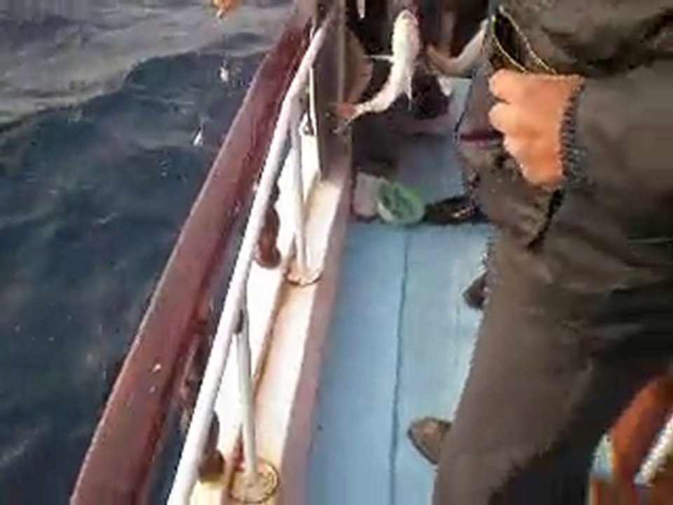 15.12.2010-KUŞADASI BALIK AVI