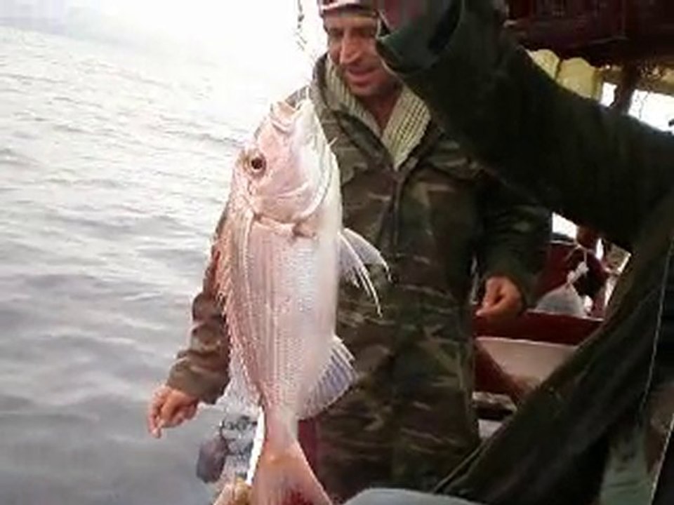 Kuşadası balık turu