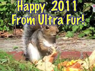 “The Ultra Fur New Year's Eve Party” : Ultra Fur