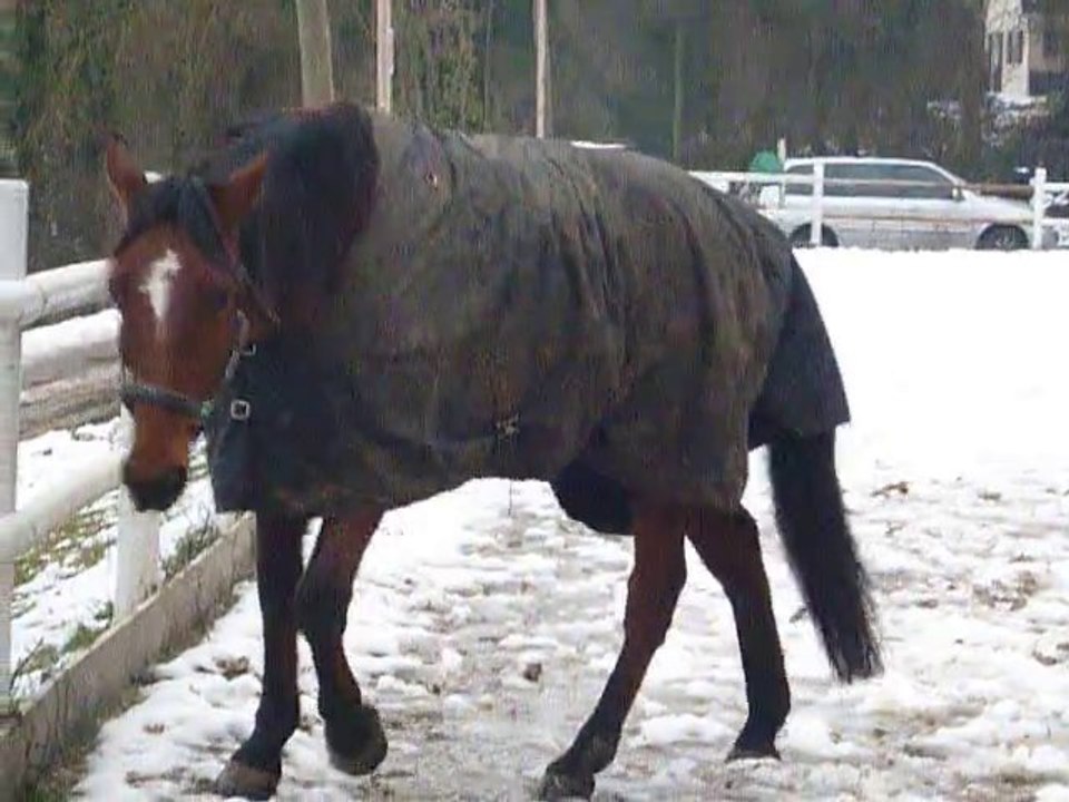 ça y est, il marche dans l'eau!
