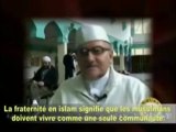 POURQUOI ONT ILS CHOISI L'ISLAM ?