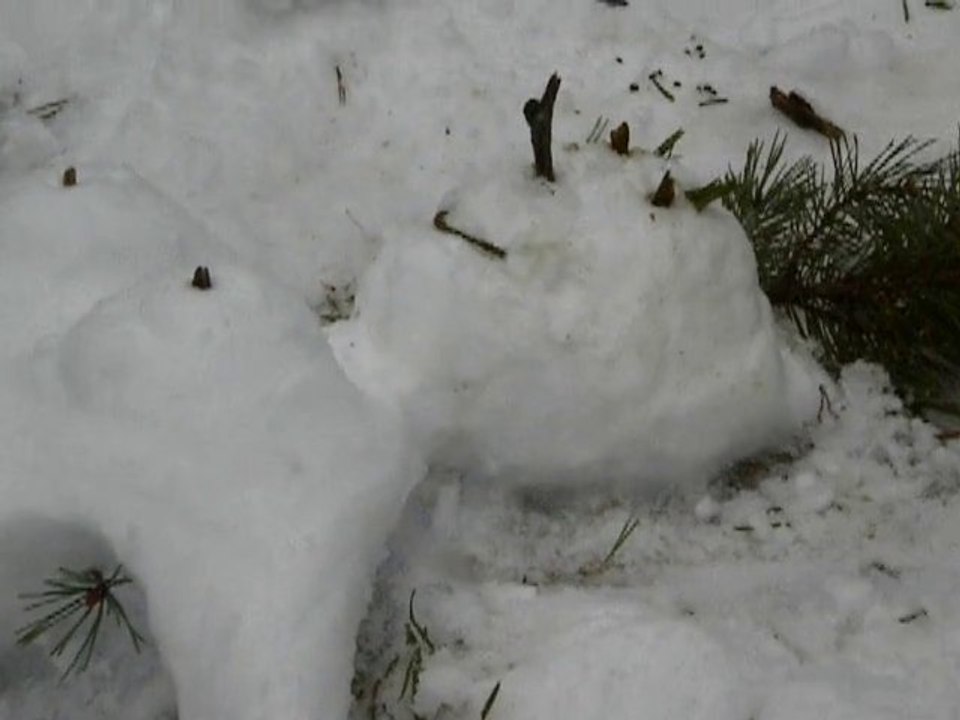 délire bonhomme de neige