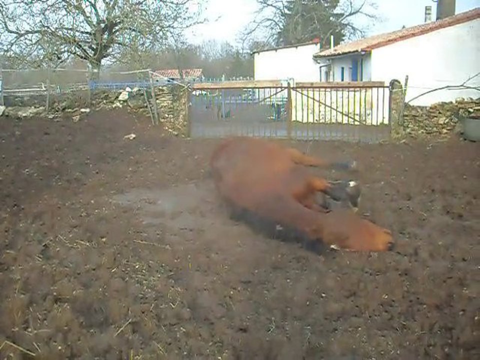 SDC15641