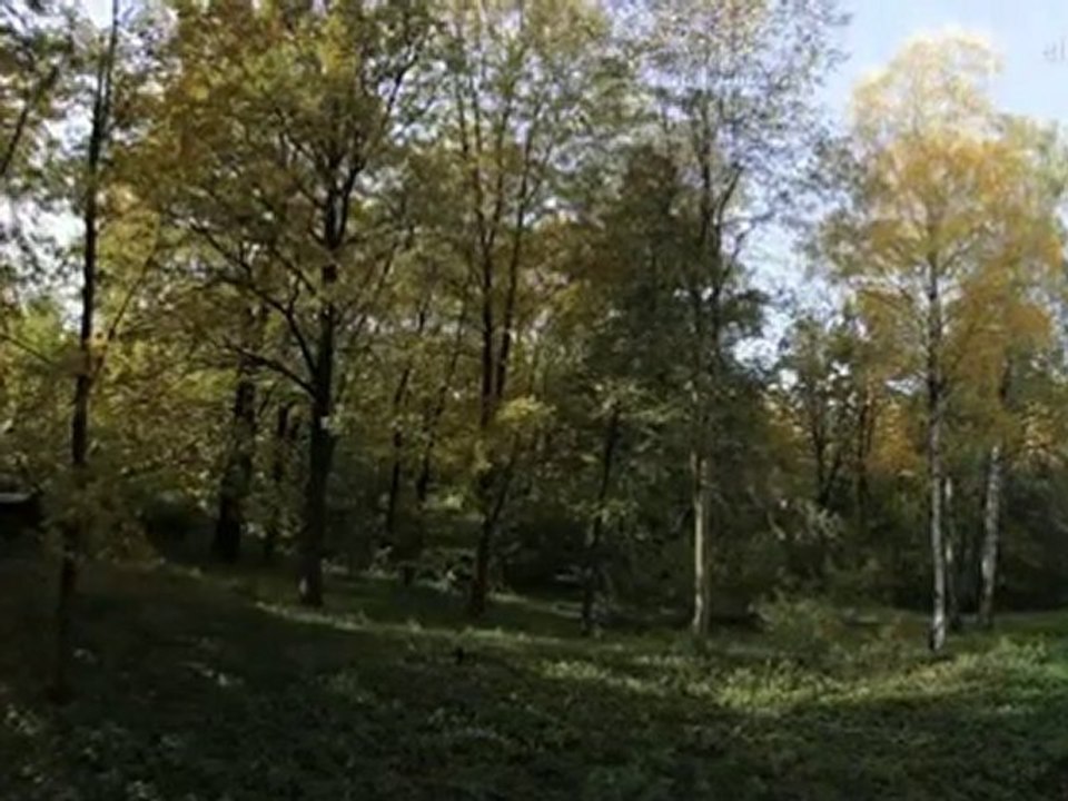 One Year in 90 seconds