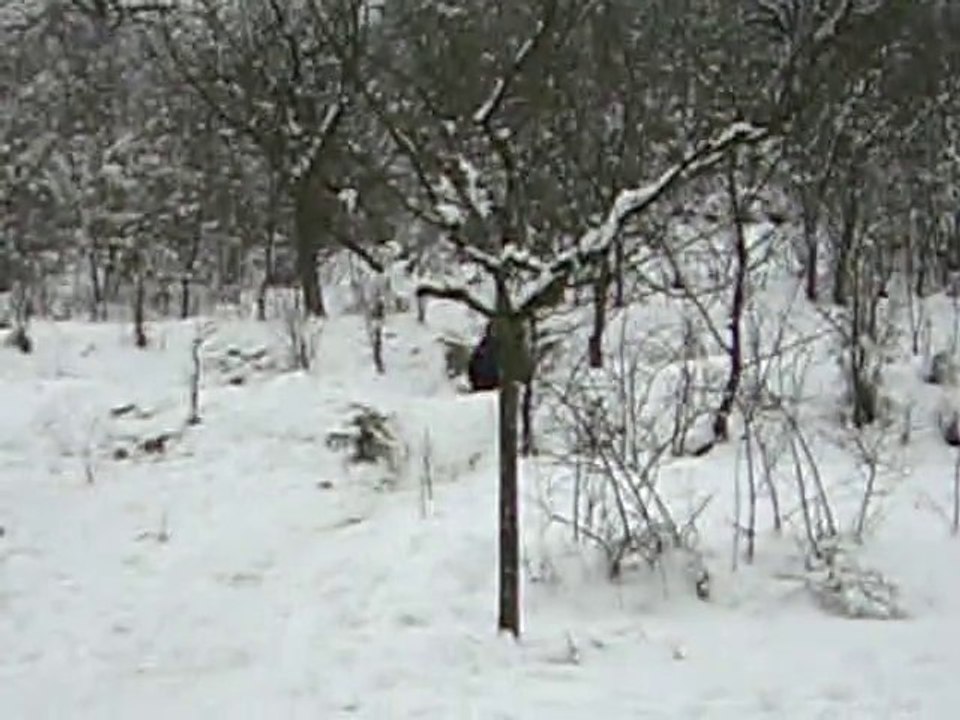 Une descente en  "Bob"...