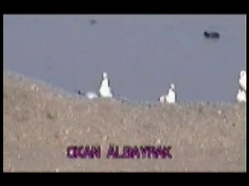 OKAN ALBAYRAK (Henüz 12 Yaşında)