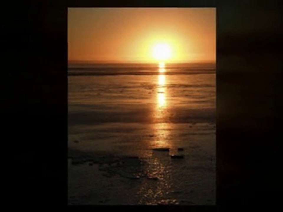 Local small business advertising, marketing