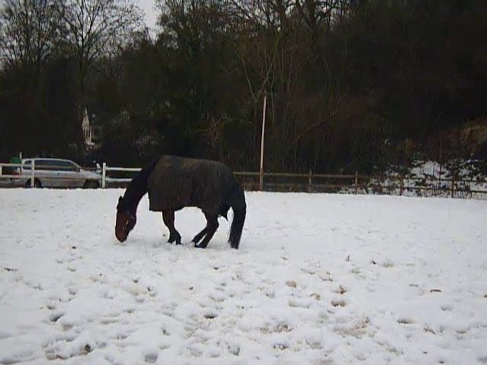 Quand titou tourne...