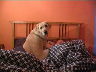 Rue Madame -  Είμαστε Κοντά