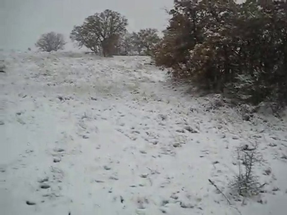 ing.pointer jaryo çulluk ferma