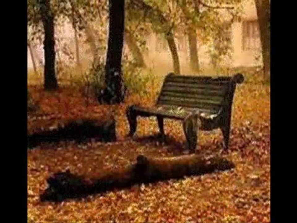 MERAL MANSUROĞLU- YALAN YILLAR