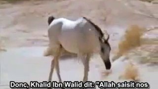 Khalid Ibn Walid et la conversion de Jarja
